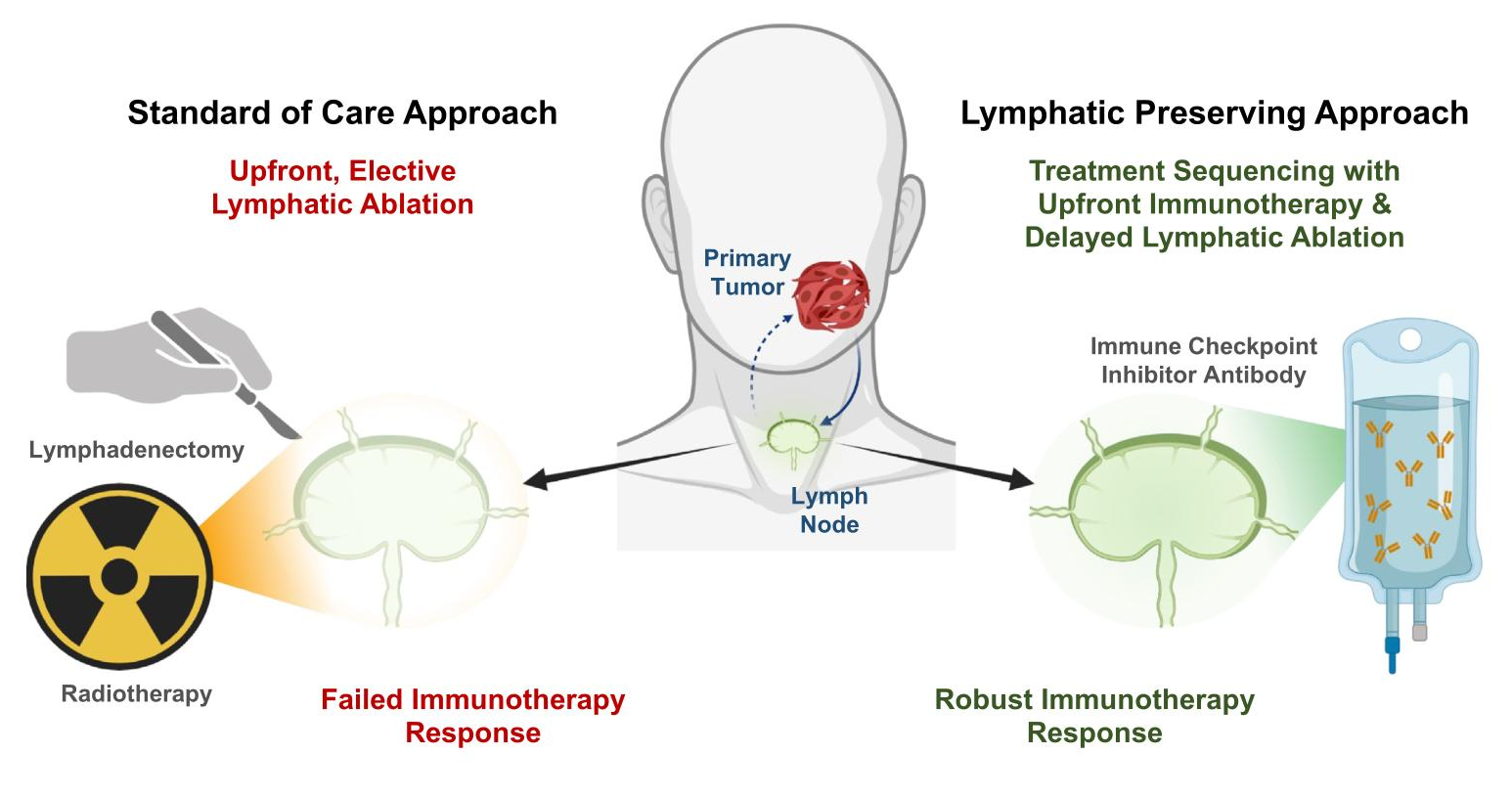Comparison of upfront lymphatic ablation and lymphatic-preserving treatment sequencing